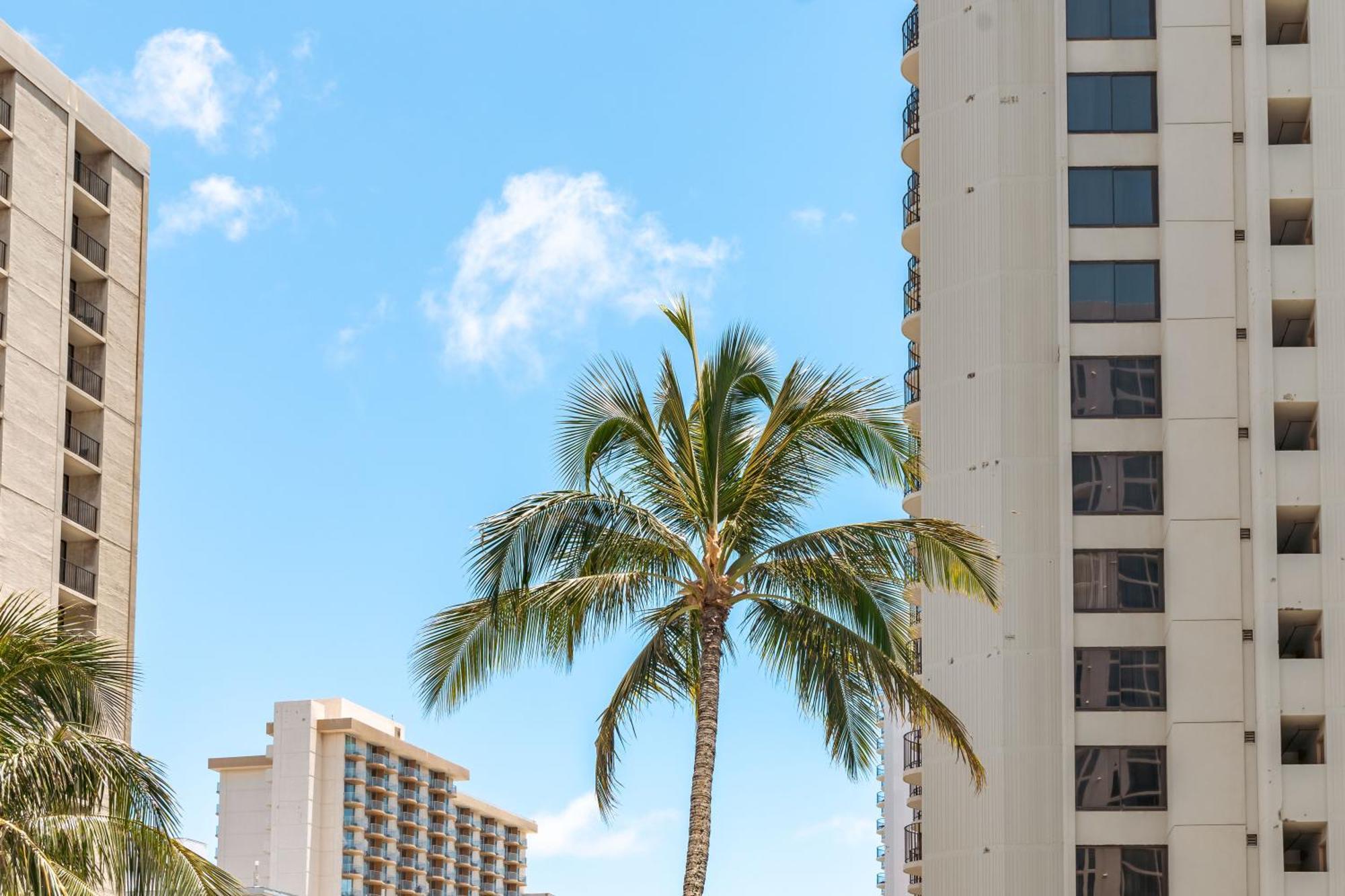 Waikiki Banyan Oasis With Partial Ocean View, 1-Block To Beach, Free Parking Apartment Honolulu Exterior photo